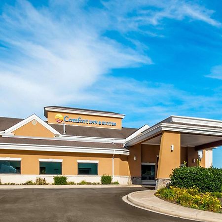 Comfort Inn & Suites North East Exterior photo